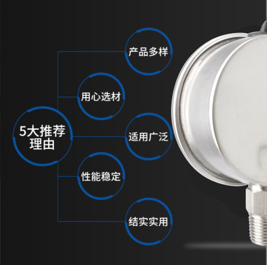 全不锈钢压力表的选型技术参数